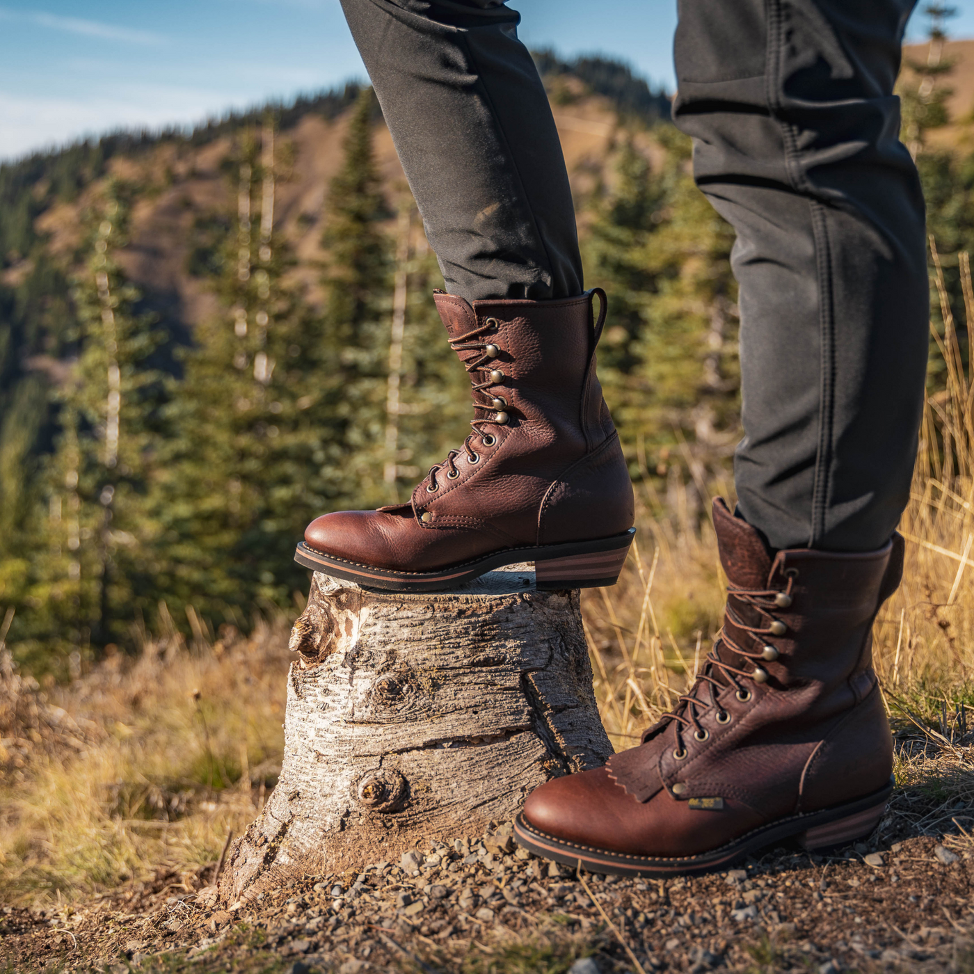 Men's 9" Chestnut Packer - 1173 - Shop Genuine Leather men & women's boots online | AdTecFootWear